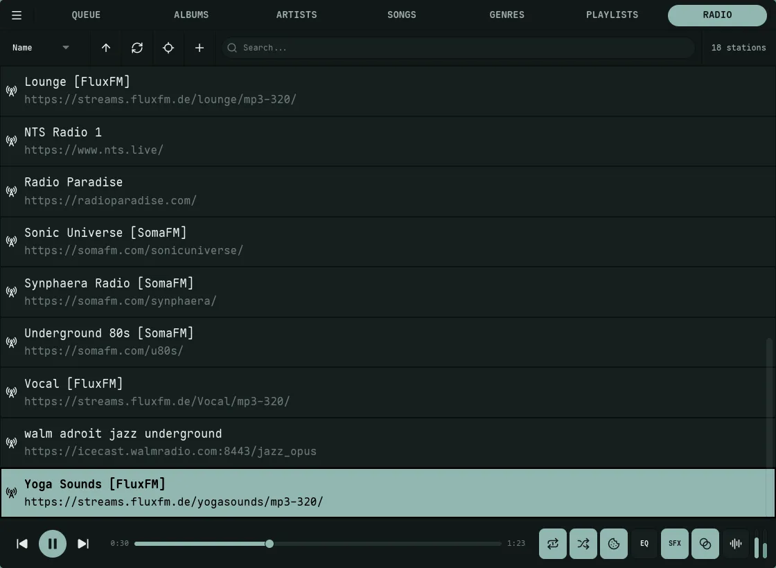 Slot list in the Radio view — nine equal-height rows with the focused station highlighted
