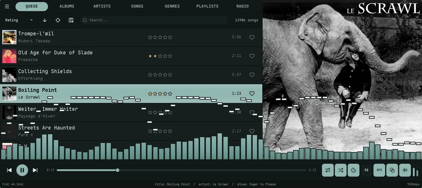 Metadata strip below the transport row in the bottom player bar